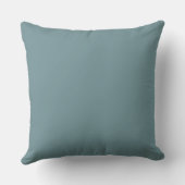 Coussin Naviguer vers une nouvelle année (Verso)