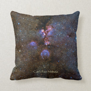 Coussin Nébuleuse de patte de chats - NGC 6334