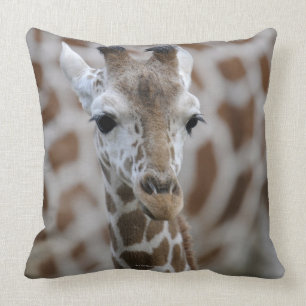 Coussin Netzgiraffe, reticulata de camelopardalis de
