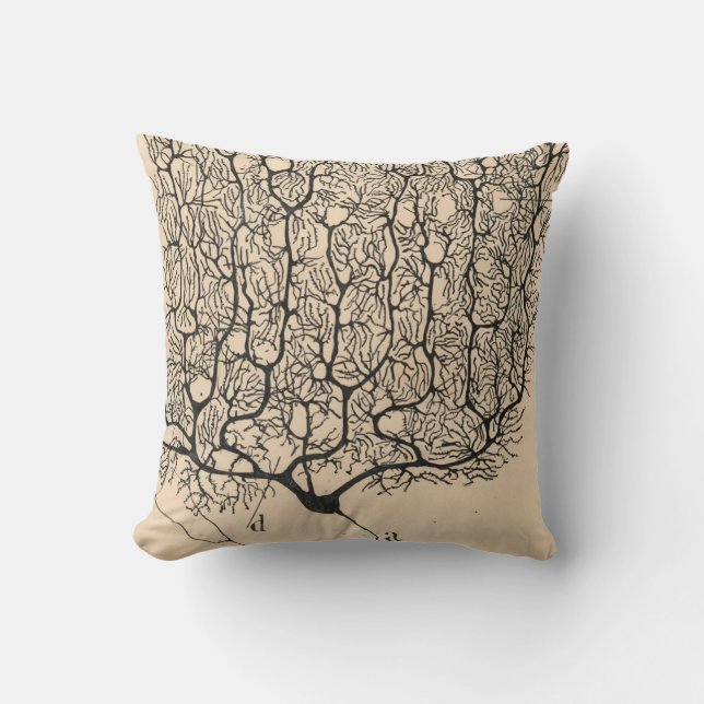 Coussin Neuron Drawing By Santiago Ramón Y Cajal (Recto)