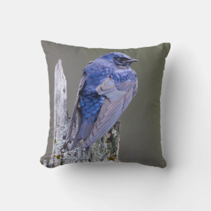 Coussin Nid de Martin-pourpré mâle au-dessus du lac Sammam