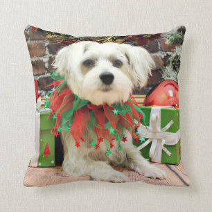 Coussin Noël - maltais - oscar