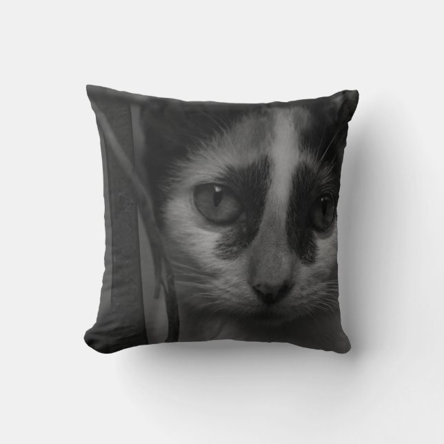 Coussin Noir et blanc - Kitten 02 (Recto)