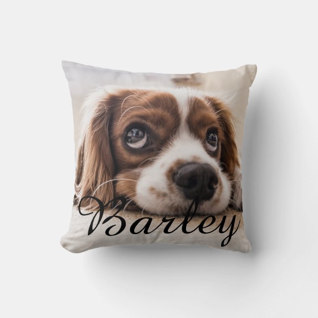 Coussin Nom simple moderne élégant chic pour animal de com (Recto)