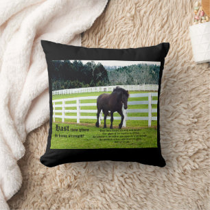 Coussin Nonesuch à Cedar Point avec Job 39