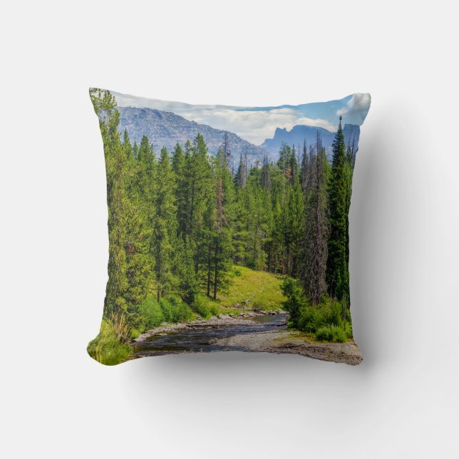 Coussin North Fork Shoshone River (Recto)
