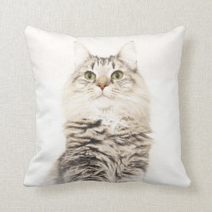 Coussin norvégien de chat de forêt