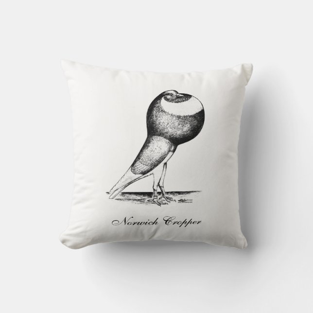 Coussin Norwich Cropper Pigeon 1980 (Recto)