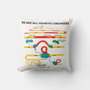 Coussin Nous sommes tous des ingénieurs génétiques ARN épi