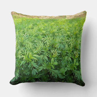 Coussin Nouveau but