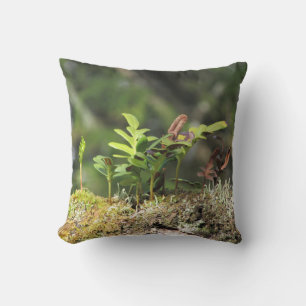 Coussin Nouvelle Croissance Ferme Moss Nature Enthousiaste