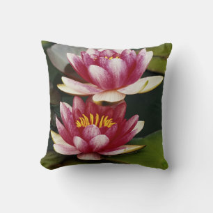 Coussin Nymphéas hybrides
