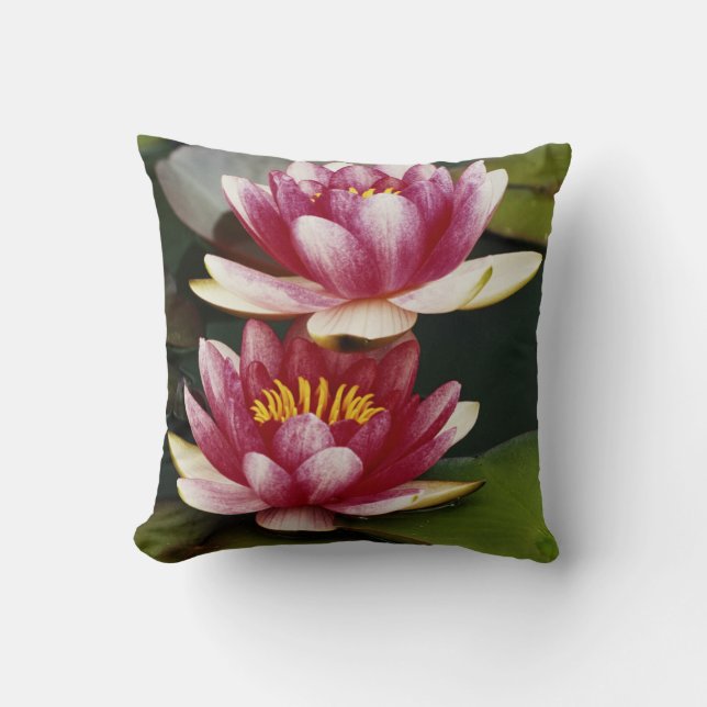Coussin Nymphéas hybrides (Recto)