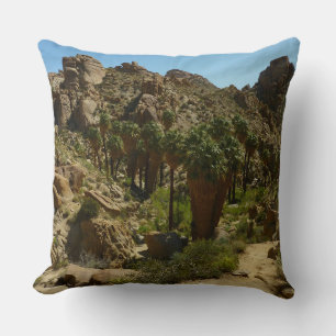 Coussin Oasis de Lost Palms II au parc national de Joshua 