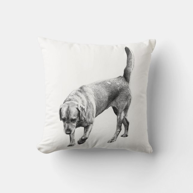 Coussin Observateur Amber Twilight (Recto)