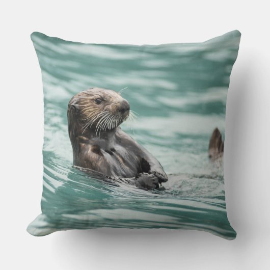 Coussin Observation de la Loupe de mer (Recto)