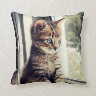 Coussin Observation tigrée de chaton