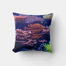 Océan sous l'eau, vie marine, image réelle