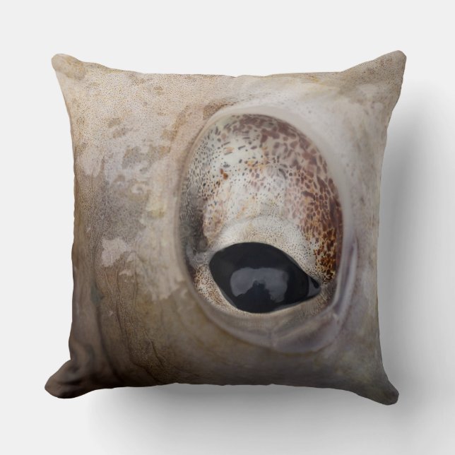 Coussin OEil octopique (Recto)