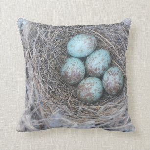 Coussin Oeufs de nature de photographie du nid de l'oiseau