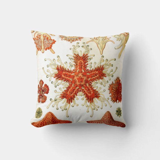 Coussin oeuvre de ernst haeckel (Recto)