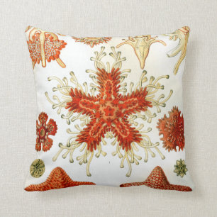 Coussin oeuvre de ernst haeckel