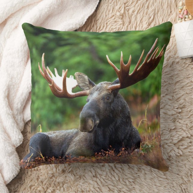 Coussin Oie (Couverture)