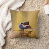 Coussin Oie d'or (Couverture)