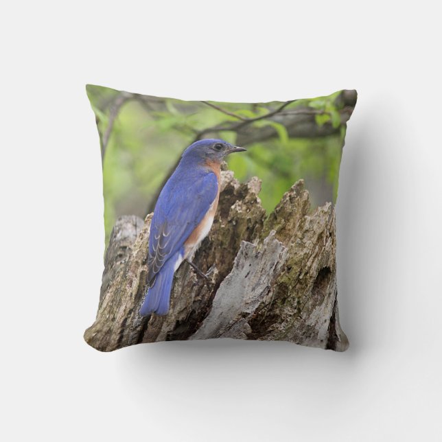 Coussin Oiseau bleu (Recto)