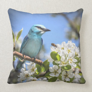 Coussin Oiseau bleu de montagne