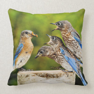 Coussin Oiseau bleu oriental