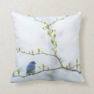 Coussin Oiseau bleu oriental d'oiseau animal
