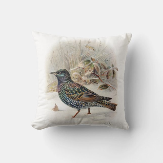 Coussin Oiseau commun vintage (Recto)