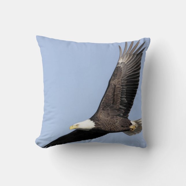 Coussin Oiseau d'aigle chauve de la proie #22- (Recto)