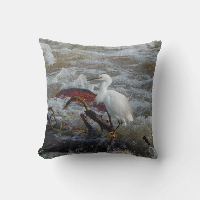 COUSSIN OISEAU DE CARRIÈRE JETER UN OISEAU (Recto)