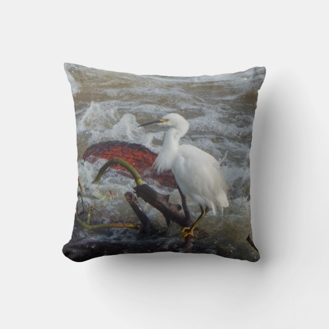 COUSSIN OISEAU DE CARRIÈRE JETER UN OISEAU (Recto)