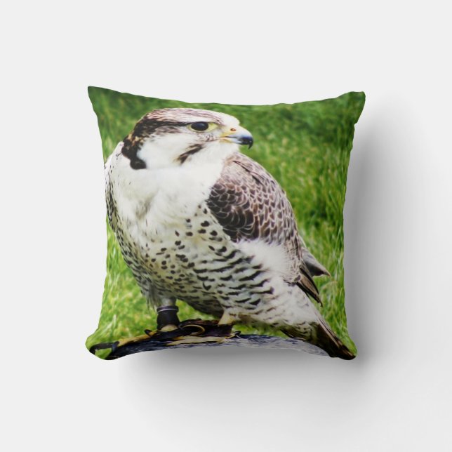 Coussin Oiseau de faucon de la proie #2-Peregrine (Recto)
