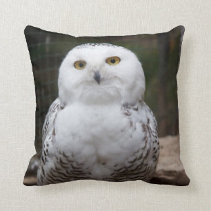 Coussin Oiseau de hibou de la proie #19-Snowy