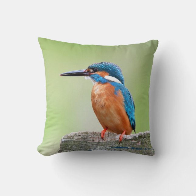 Coussin Oiseau de martin-pêcheur (Recto)