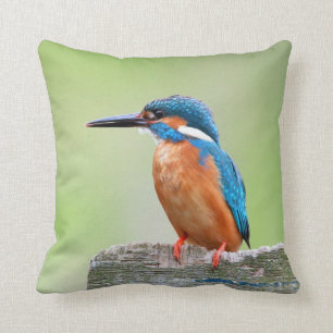Coussin Oiseau de martin-pêcheur