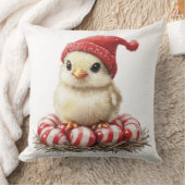 Coussin Oiseau de Noël à la menthe poivrée (Couverture)