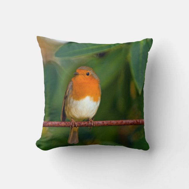 Coussin Oiseau de Robin (Recto)