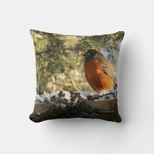 Coussin Oiseau de Robin à poitrine rouge (Recto)