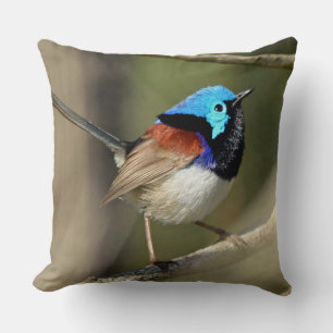 Coussin Oiseau - Verseau à feuilles variées