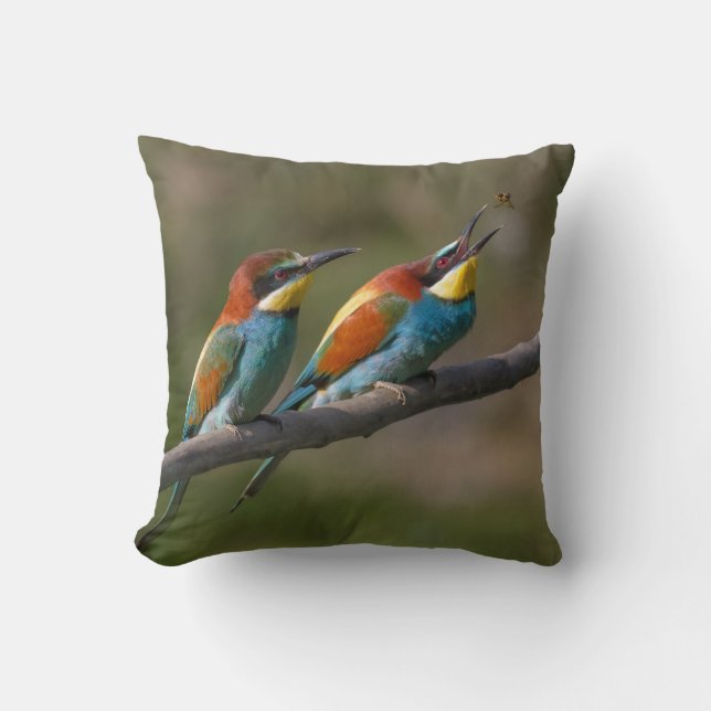 Coussin Oiseaux (Recto)