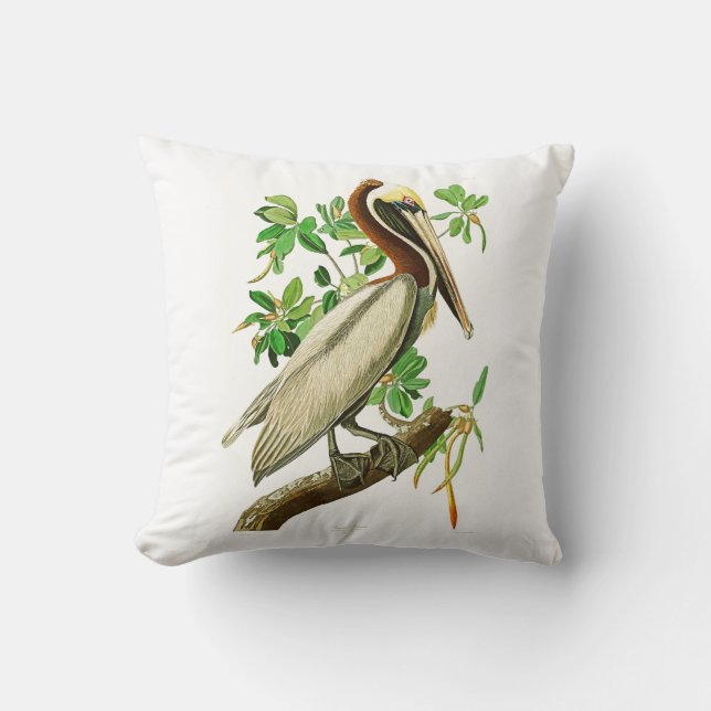 Coussin Oiseaux Brown de John James Audubon de pélican de (Recto)