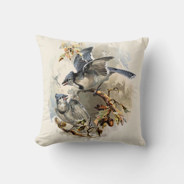 Coussin Oiseaux bruns ens ivoire vintages minables (Recto)