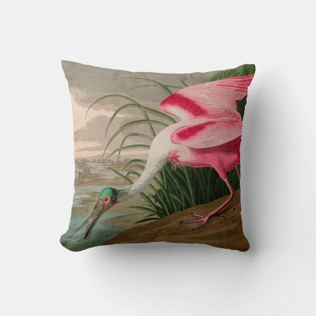Coussin Oiseaux d'Amérique de spatule de rose Audubon Impr (Recto)