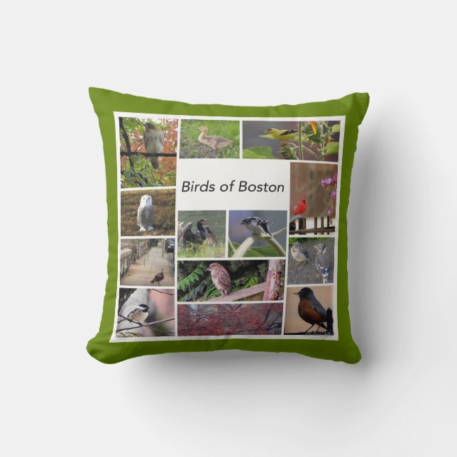 Coussin Oiseaux de Boston Photo Collage (Recto)