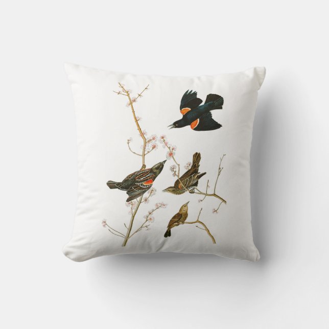 Coussin Oiseaux de John Audubon de merle de marais de (Recto)